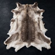 Шкура оленя большая